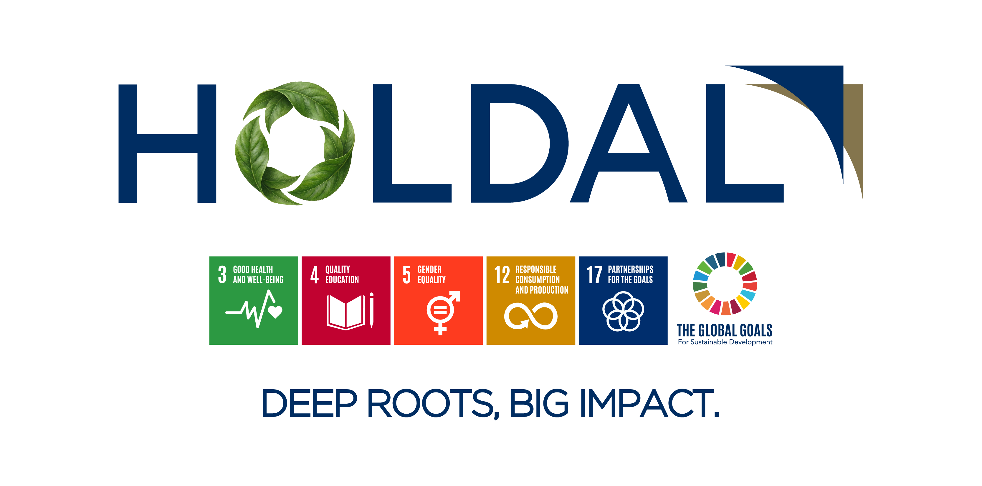 Holdal Impact Logo